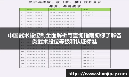 中国武术段位制全面解析与查询指南助你了解各类武术段位等级和认证标准